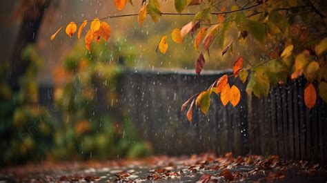 「秋雨」: 繊細な筆致と静謐なる秋の風景